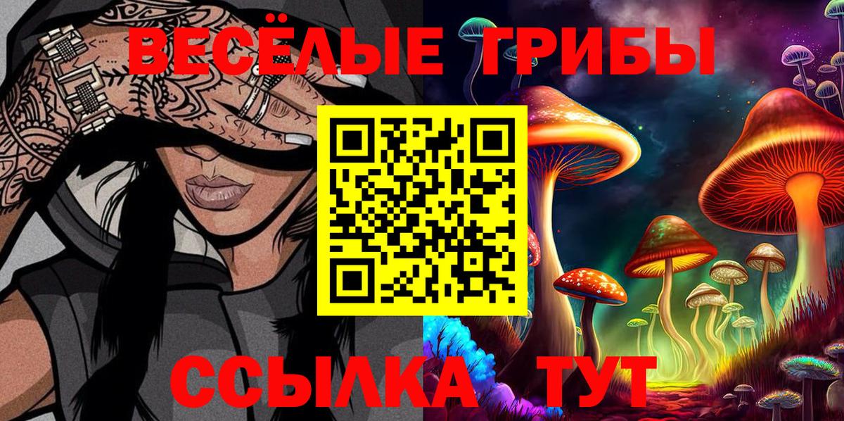 Псилоцибиновые грибы прущие грибы Верхняя Салда