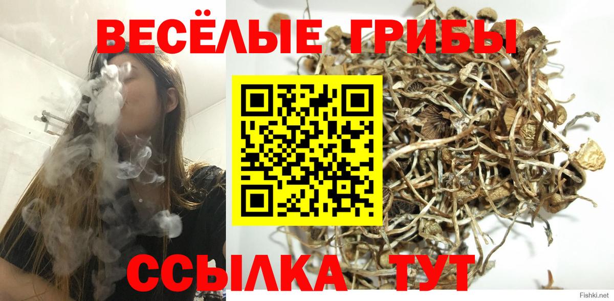 Верхняя Салда  Псилоцибиновые грибы Cubensis  Вход с VPN 